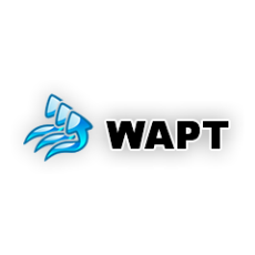 WAPT Pro